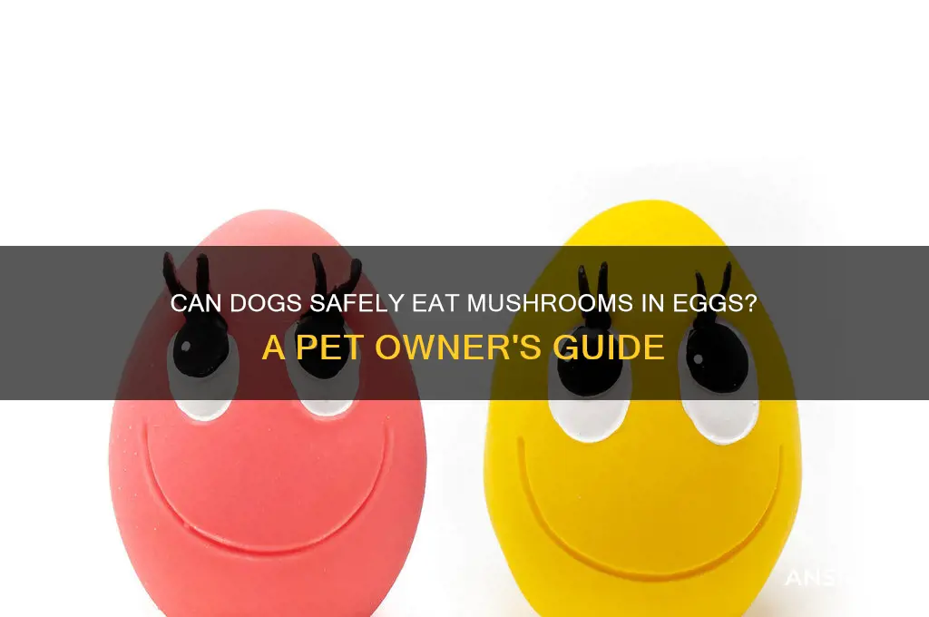 can dogs eat mushrooms in eggs