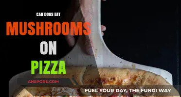 Can Dogs Safely Eat Mushrooms on Pizza? Vet-Approved Advice