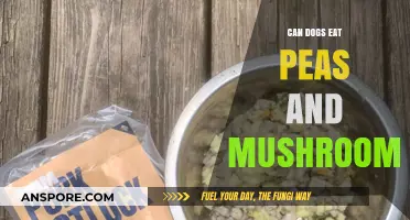 Can Dogs Safely Eat Peas and Mushrooms? A Pet Nutrition Guide