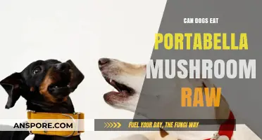Can Dogs Safely Eat Raw Portabella Mushrooms? A Guide