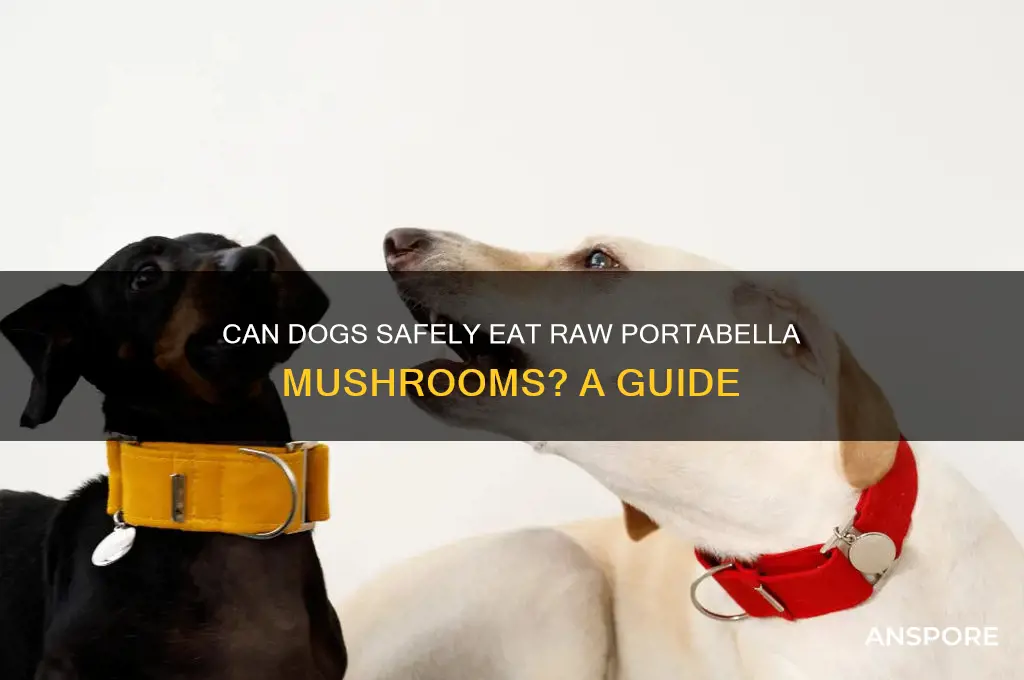 can dogs eat portabella mushrooms raw