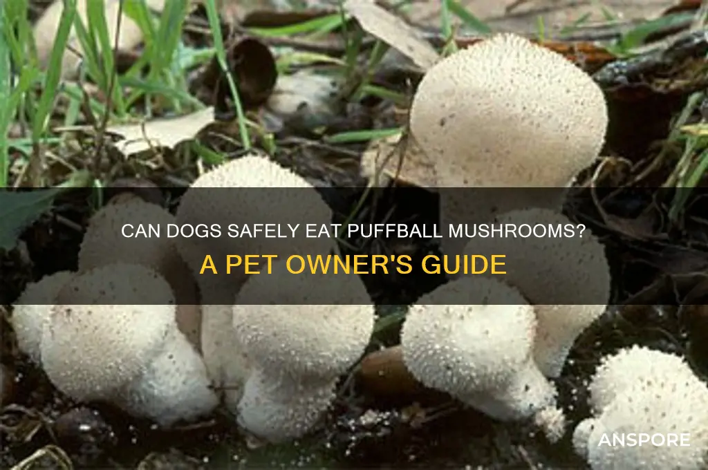 can dogs eat puffball mushrooms