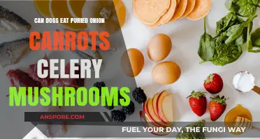 Can Dogs Safely Eat Puréed Onion, Carrots, Celery, and Mushrooms?