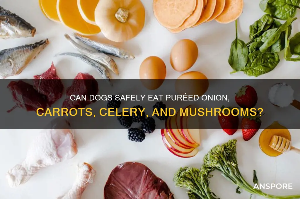 can dogs eat puried onion carrots celery mushrooms