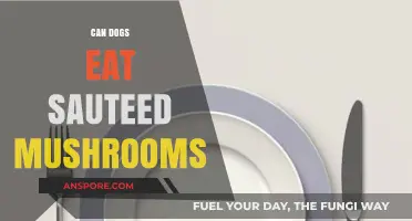 Can Dogs Safely Enjoy Sautéed Mushrooms? A Pet Owner's Guide