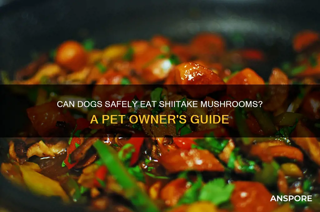 can dogs eat shitaki mushrooms