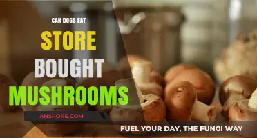 Can Dogs Safely Eat Store-Bought Mushrooms? A Pet Owner's Guide