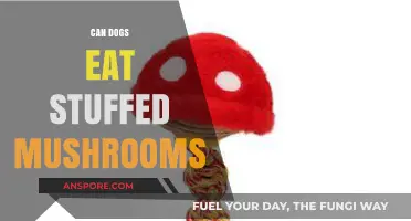 Can Dogs Safely Eat Stuffed Mushrooms? A Pet Owner's Guide