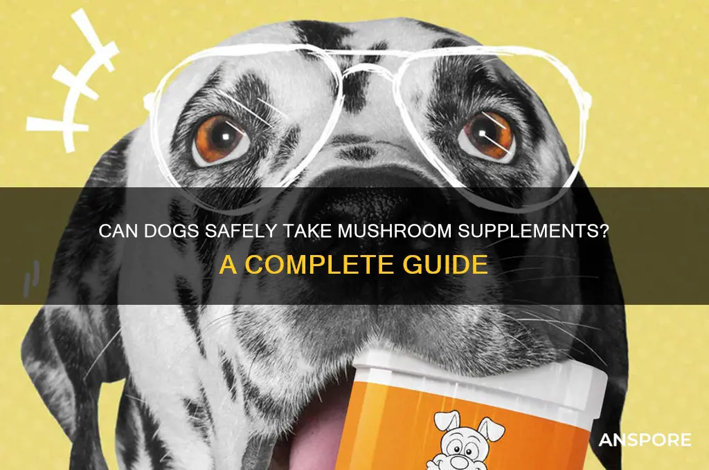 can dogs have mushroom supplements