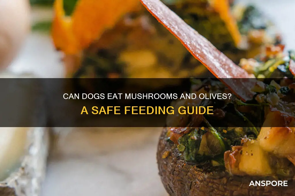 can dogs have mushrooms and olives