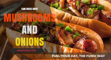 Mushrooms and Onions for Dogs: Safe or Harmful?