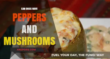 Can Dogs Eat Peppers and Mushrooms? A Safe Feeding Guide