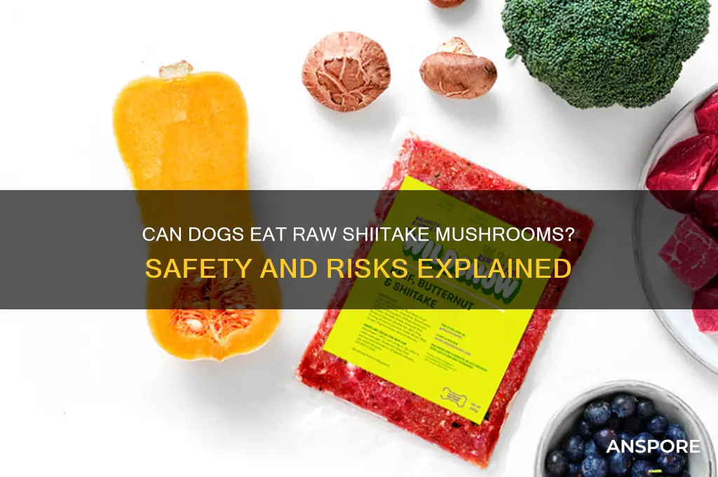can dogs have raw shiitake mushrooms
