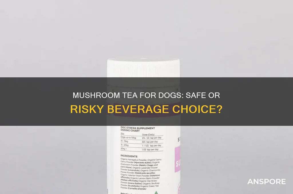can dogs have tea made from mushrooms