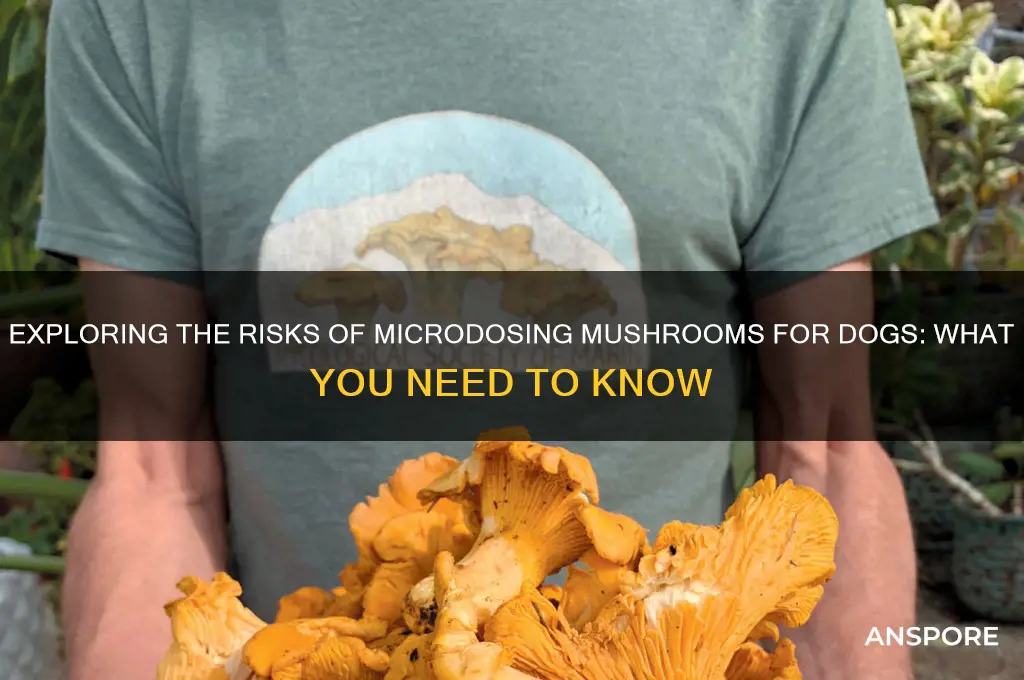 can dogs microdose mushrooms