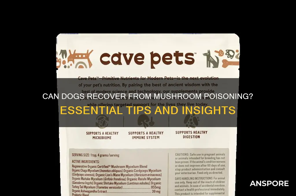 can dogs recovrr from mushrooms