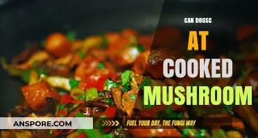 Can Dogs Eat Cooked Mushrooms? Safety Tips for Pet Owners