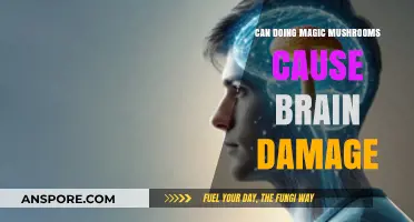 Magic Mushrooms and Brain Health: Separating Fact from Fiction