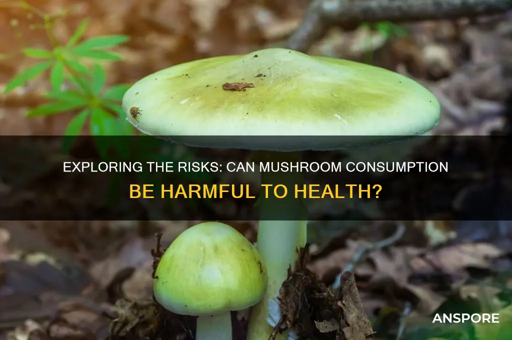 can doing mushrooms be harmful