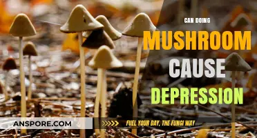 Mushrooms and Mental Health: Exploring the Link to Depression