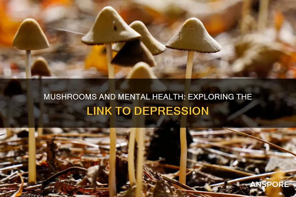 can doing mushrooms cause depression