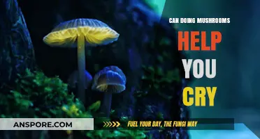 Exploring Psilocybin's Emotional Release: Can Mushrooms Help You Cry?