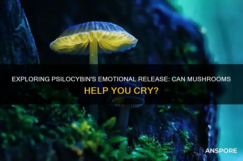 can doing mushrooms help you cry