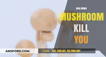 Can Psilocybin Mushrooms Be Fatal? Exploring the Risks and Realities