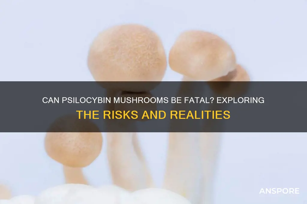 can doing mushrooms kill you