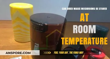 Storing Dried Magic Mushrooms: Room Temperature Tips and Best Practices
