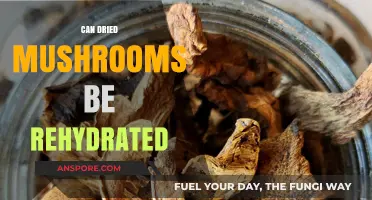 Rehydrating Dried Mushrooms: Tips for Restoring Flavor and Texture
