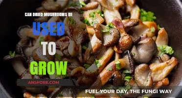 Reviving Dried Mushrooms: Can They Sprout New Growth?