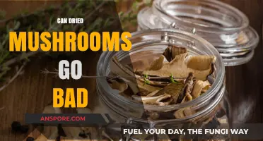 Do Dried Mushrooms Expire? Shelf Life and Storage Tips