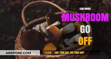 Do Dried Mushrooms Expire? Shelf Life and Storage Tips Revealed