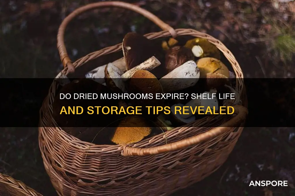 can dried mushrooms go off