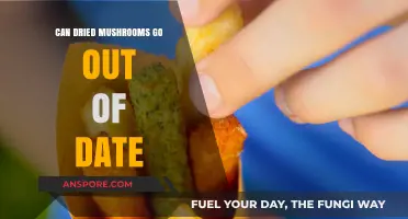 Do Dried Mushrooms Expire? Shelf Life and Storage Tips