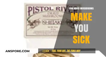 Can Dried Mushrooms Cause Illness? Risks and Safe Consumption Tips