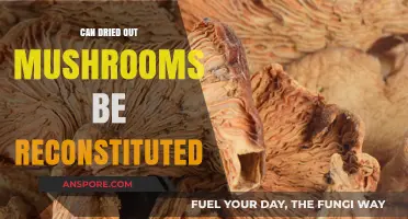 Reviving Dried Mushrooms: Reconstitution Tips for Flavorful Culinary Creations