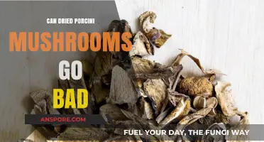 Do Dried Porcini Mushrooms Expire? Shelf Life and Storage Tips