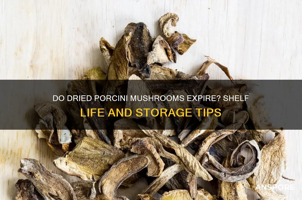 can dried porcini mushrooms go bad