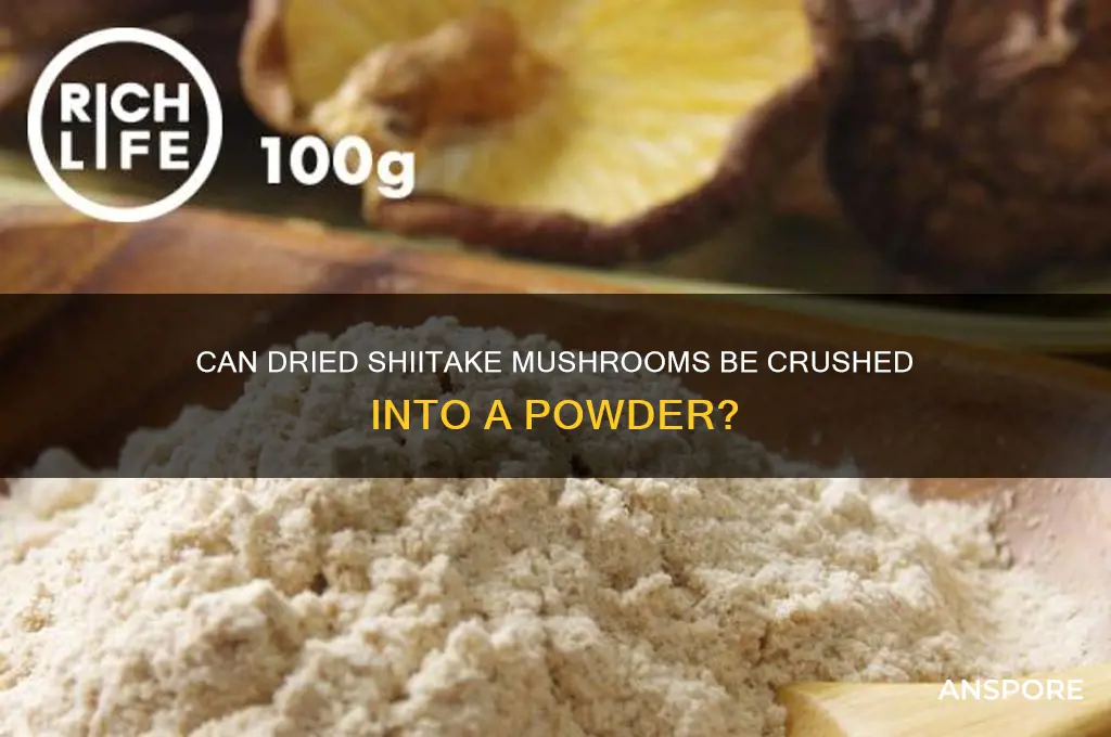 can dried schotaki mushrooms be criahed into a powder