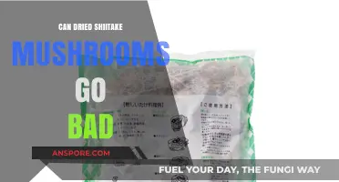 Do Dried Shiitake Mushrooms Expire? Shelf Life and Storage Tips