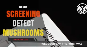 Can Drug Tests Detect Mushrooms? Understanding Psilocybin Screening Accuracy