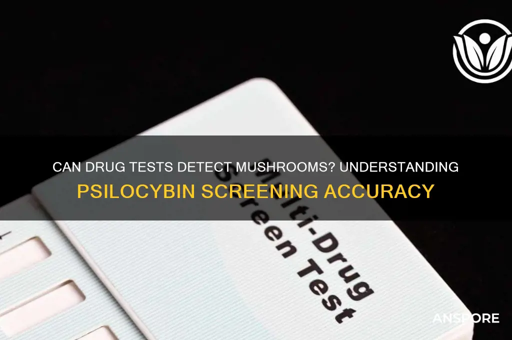 can drug screening detect mushrooms