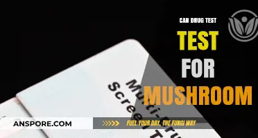 Can Drug Tests Detect Mushrooms? Psilocybin Testing Explained