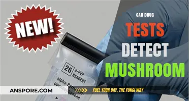 Do Drug Tests Detect Mushrooms? Psilocybin Testing Explained
