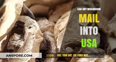 Shipping Dry Mushrooms to the USA: Legal Guidelines and Tips