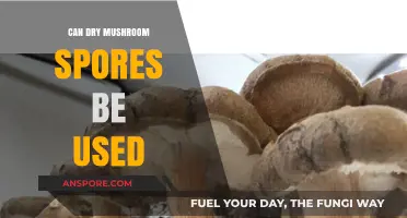 Reviving Dry Mushroom Spores: Unlocking Their Potential for Cultivation and Use