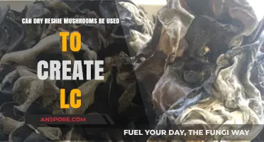 Using Dry Reshi Mushrooms for LC Creation: A Viable Method?