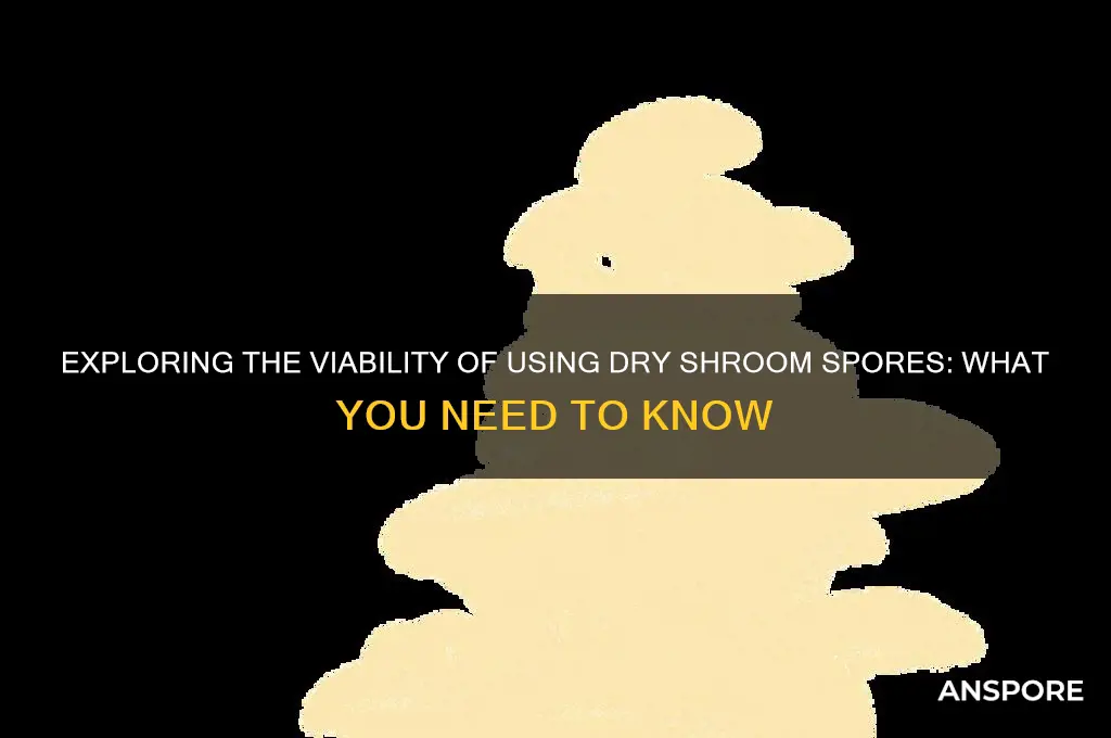 can dry shroom spores be used